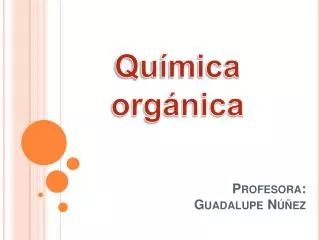 Profesora: Guadalupe Núñez