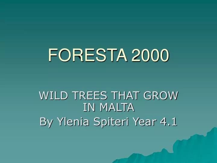 foresta 2000