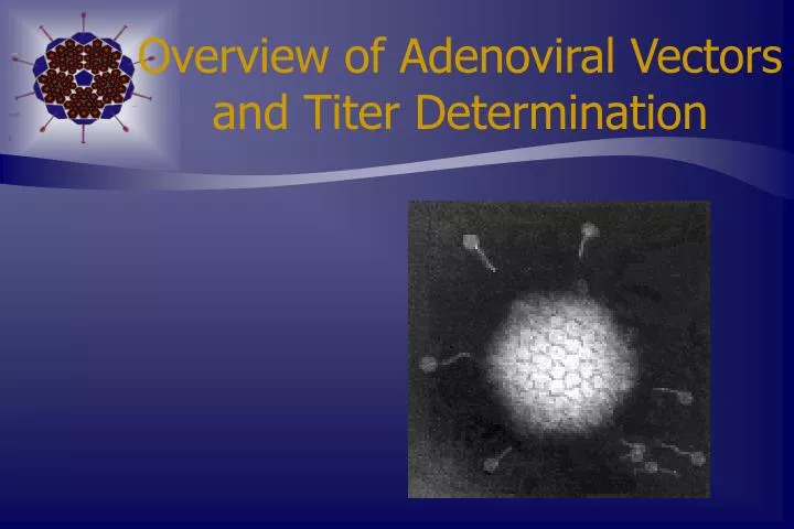 overview of adenoviral vectors and titer determination