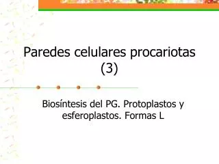 Paredes celulares procariotas (3)