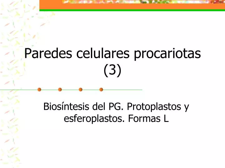 paredes celulares procariotas 3