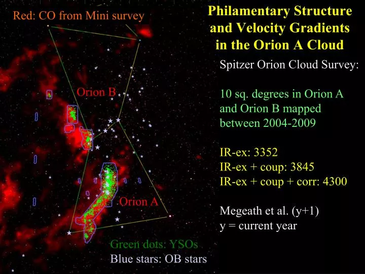 philamentary structure and velocity gradients in the orion a cloud