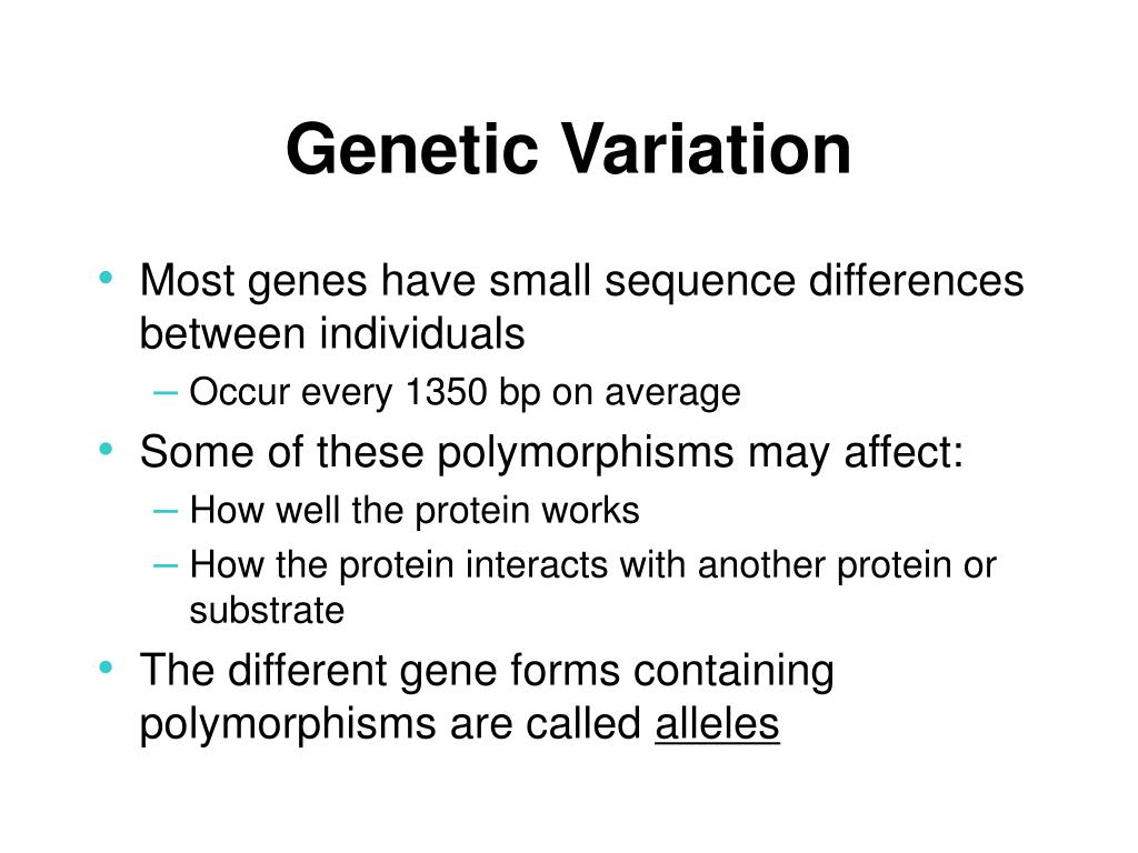 PPT - Genetic Variation PowerPoint Presentation, free download - ID:826198