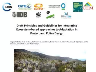 Draft Principles and Guidelines for Integrating Ecosystem-based approaches to Adaptation in Project and Policy Design