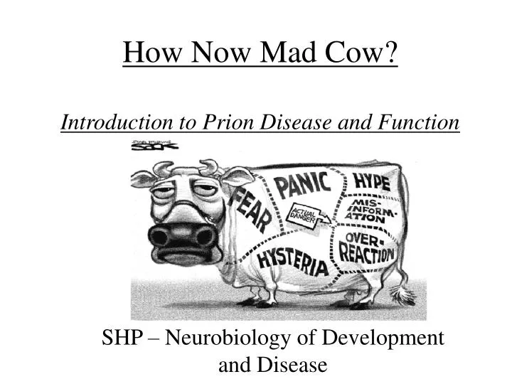 how now mad cow introduction to prion disease and function