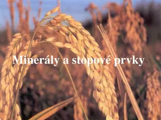 miner ly a stopov prvky