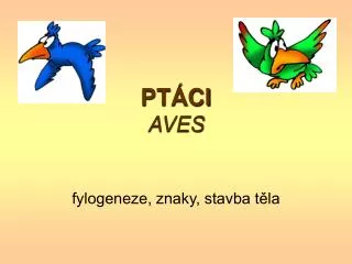 PTÁCI AVES