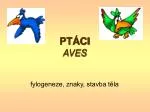 PTÁCI AVES - slide 1