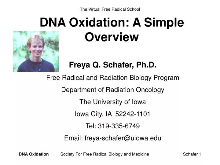 dna oxidation a simple overview