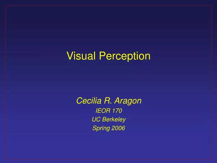 visual perception