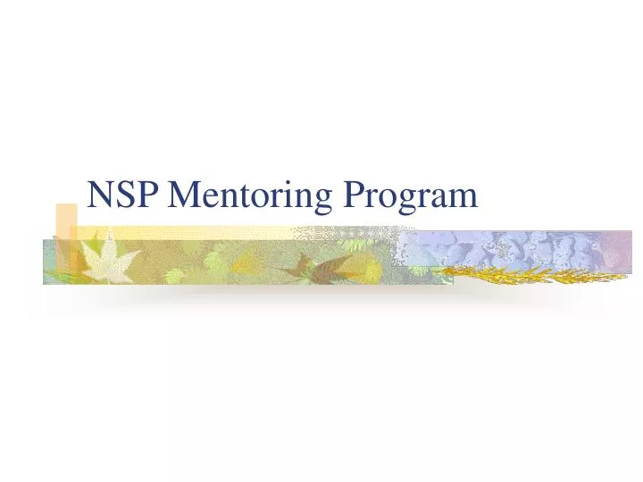 nsp mentoring program
