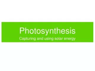 Photosynthesis