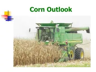 Corn Outlook