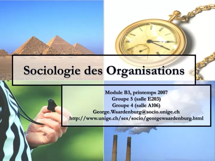 sociologie des organisations