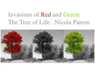 Invasions of Red and Green : The Tree of Life. Nicola Patron