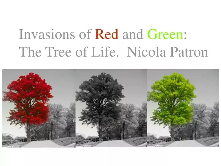 invasions of red and green the tree of life nicola patron