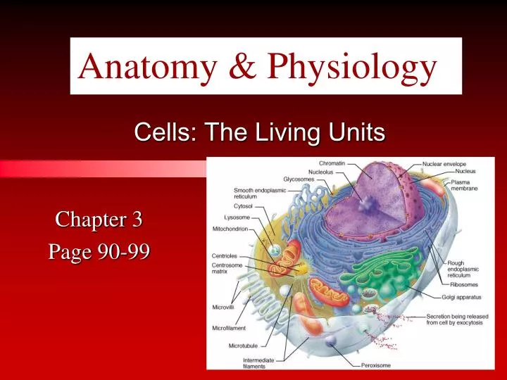 cells the living units