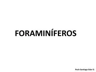foramin feros