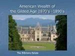 PPT - The Gilded Age 1870-1890 PowerPoint Presentation, Free Download ...