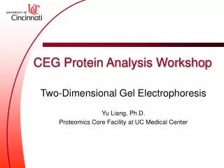 CEG Protein Analysis Workshop
