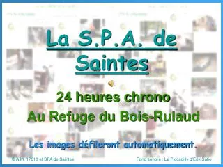La S.P.A. de Saintes