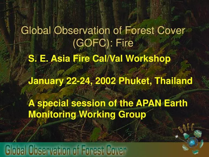 global observation of forest cover gofc fire