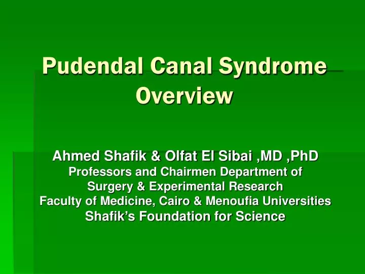 pudendal canal syndrome overview