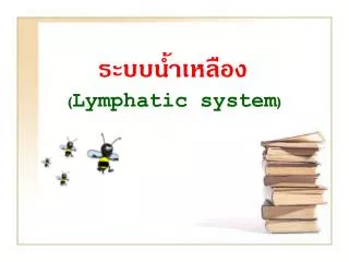 lymphatic system