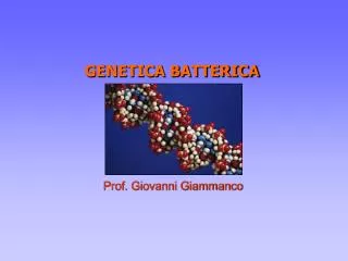 GENETICA BATTERICA