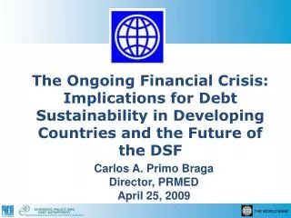 The Ongoing Financial Crisis: Implications for Debt Sustainability in Developing Countries and the Future of the DSF