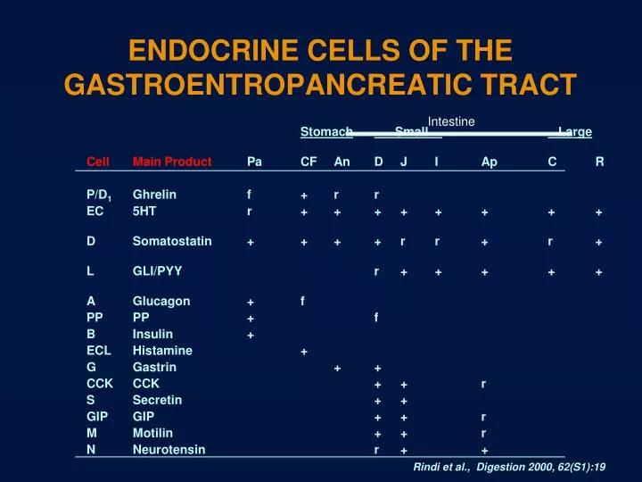 endocrine cells of the gastroentropancreatic tract