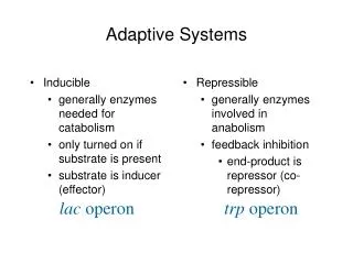 Adaptive Systems