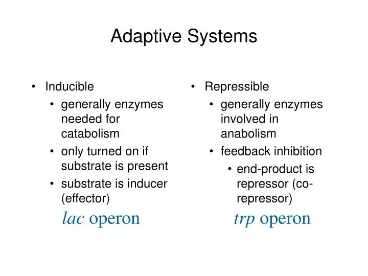 adaptive systems