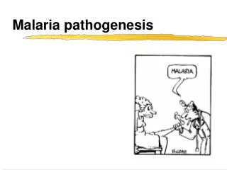 Malaria pathogenesis