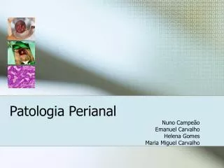 Patologia Perianal