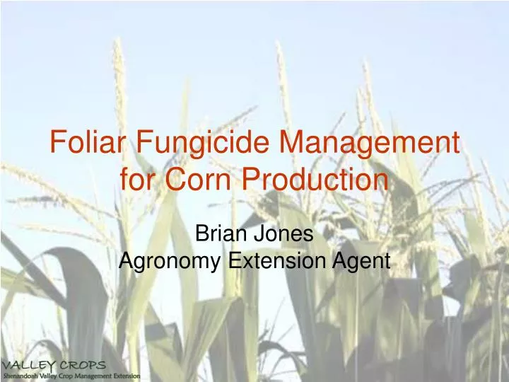 foliar fungicide management for corn production