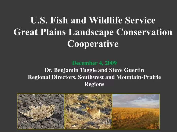 u s fish and wildlife service great plains landscape conservation cooperative