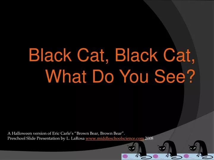 black cat black cat what do you see