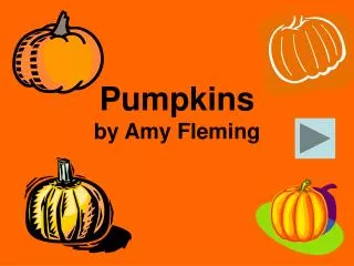 Pumpkins by Amy Fleming