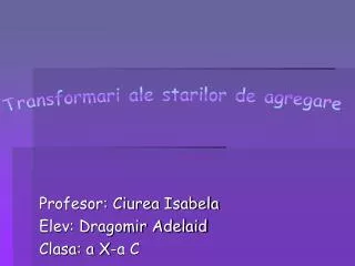 Profesor: Ciurea Isabela Elev: Dragomir Adelaid Clasa: a X-a C