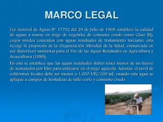 marco legal