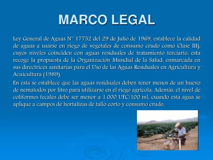 marco legal