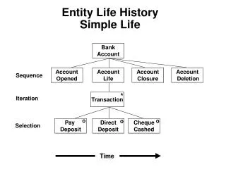 Entity Life History Simple Life