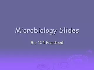microbiology slides