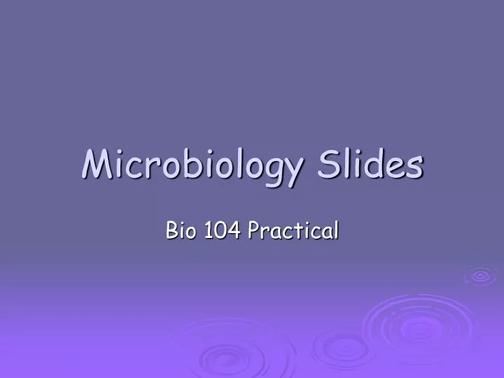 microbiology slides