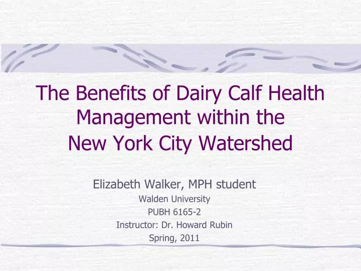 the benefits of dairy calf health management within the new york city watershed