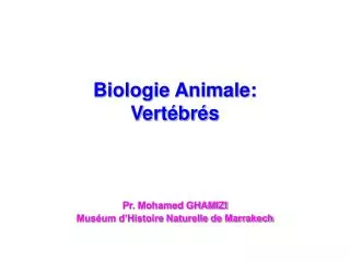Biologie Animale: Vertébrés