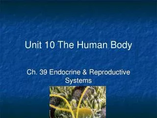 Unit 10 The Human Body