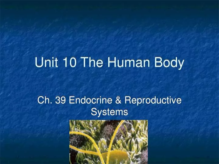 unit 10 the human body