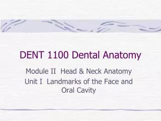 DENT 1100 Dental Anatomy